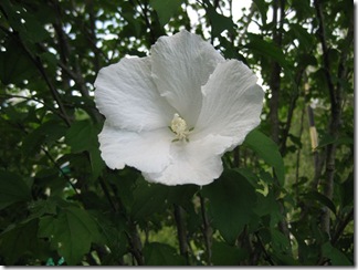 20120826000_s