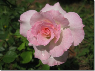20120909002_s