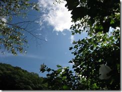20120918001_s