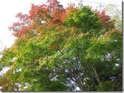 20121014001_s