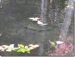 20121014002_s