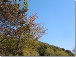 20121021_k