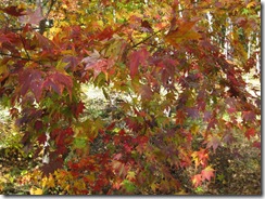 20121026000_s