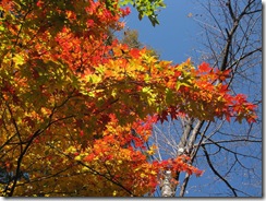 20121026001_s