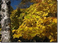 20121026002_s