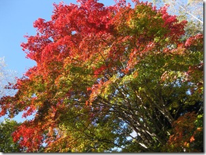 20121026003_s