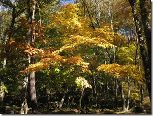 20121026004_s