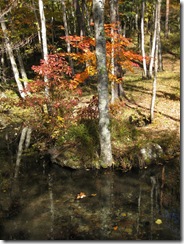 20121026005_s