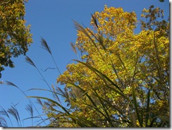 20121102000_s