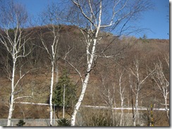 20121120000_s