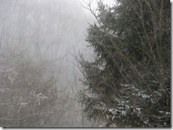 20121201001_s