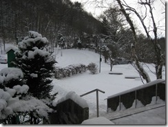 20121210000_s