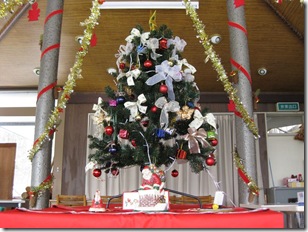 201212101000_s