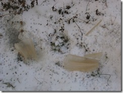 20121213002_s