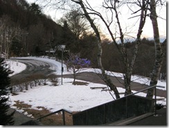 201201013000_s