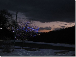 201201013001_s