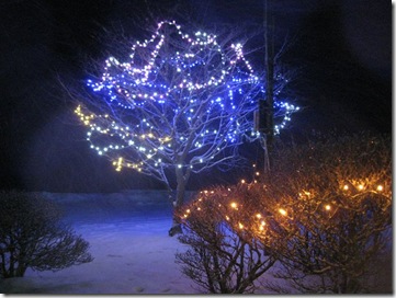 20120103005_s