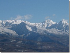 IMG_2232