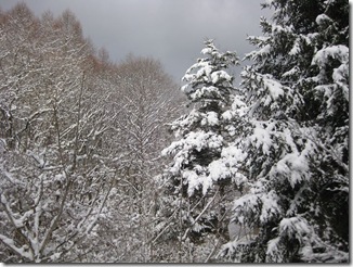 20130207000_s