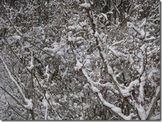 20130207001_s