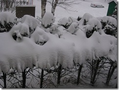 20130215001_s
