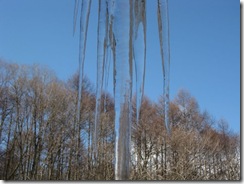 20130221000_s