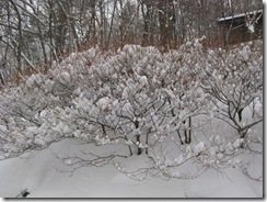 20130224000_s