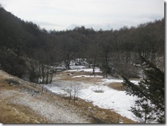 20130314000_s