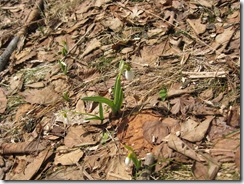 20130314002_s