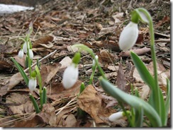 20130318004_s