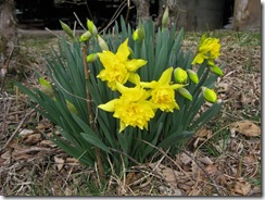 20130406000_s