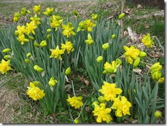 20130426002_s