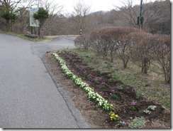 20130426004_s