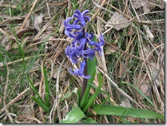 20130502000_s