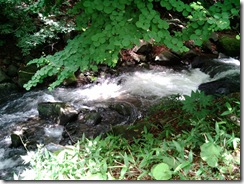 201306018000_s