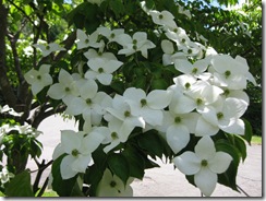201306030001_s