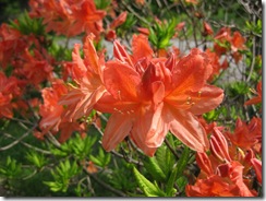 20130604000_s