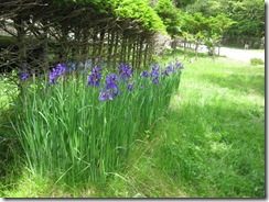 201306072001_s
