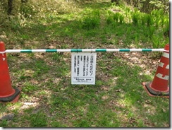 20130608001_s