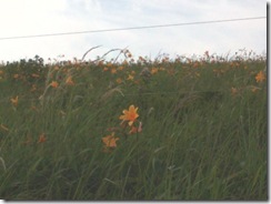 20130708000_s