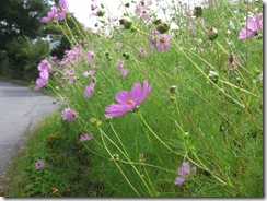20130708001_s