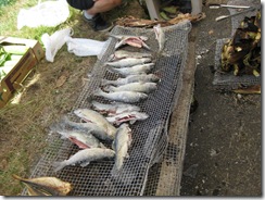 20130708003_s