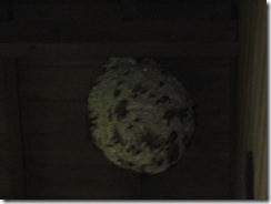 20130708000_s