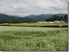 20130708002_s