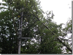 20130708003_s