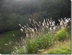 20130708012_s