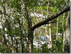 IMG_3140_R