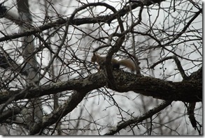DSC_0100_R
