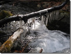 IMG_3316_R