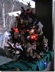 IMG_3429_R